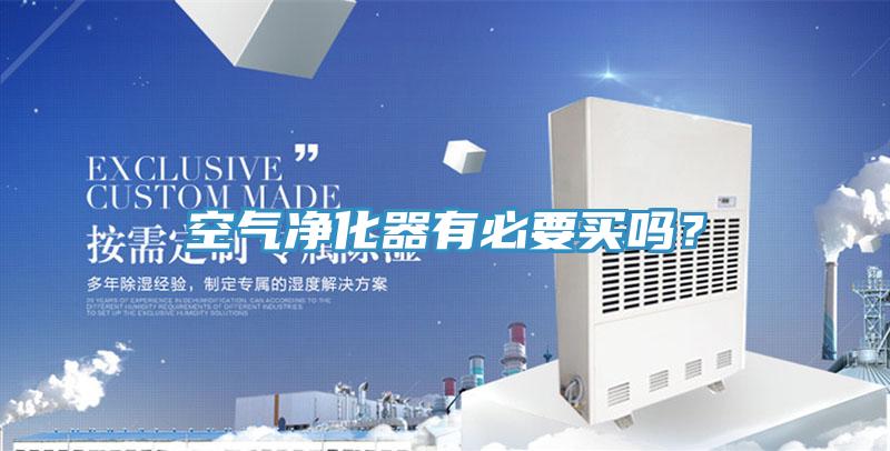 空氣凈化器有必要買嗎？