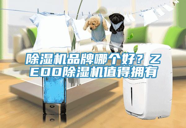 除濕機(jī)品牌哪個好？ZEDO除濕機(jī)值得擁有