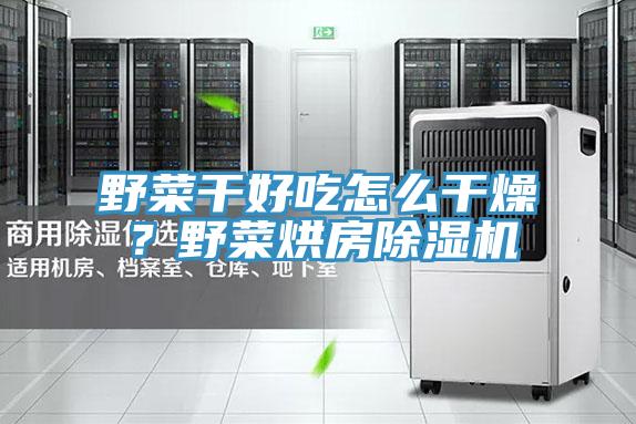 野菜干好吃怎么干燥？野菜烘房除濕機(jī)