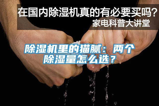除濕機(jī)里的貓膩：兩個(gè)除濕量怎么選？