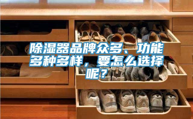 除濕器品牌眾多、功能多種多樣，要怎么選擇呢？