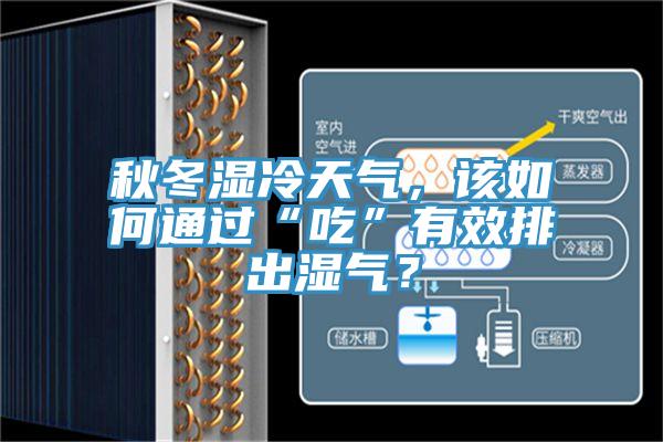 秋冬濕冷天氣，該如何通過(guò)“吃”有效排出濕氣？