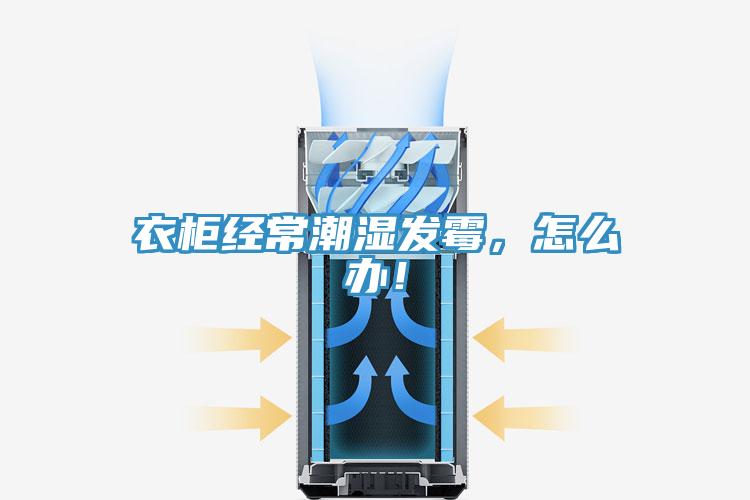 衣柜經(jīng)常潮濕發(fā)霉，怎么辦！