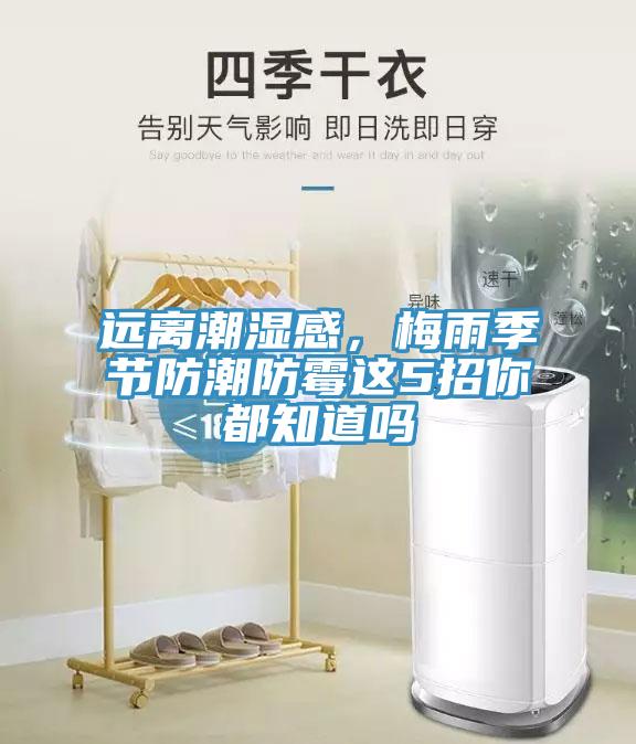 遠(yuǎn)離潮濕感，梅雨季節(jié)防潮防霉這5招你都知道嗎