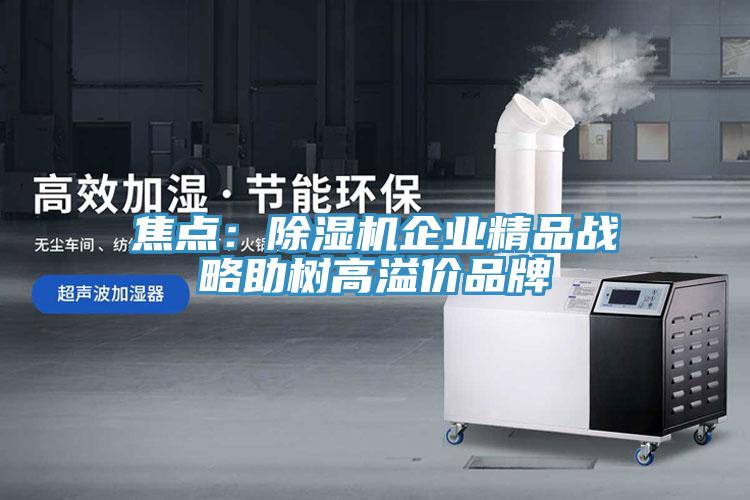 焦點(diǎn):除濕機(jī)企業(yè)精品戰(zhàn)略助樹(shù)高溢價(jià)品牌