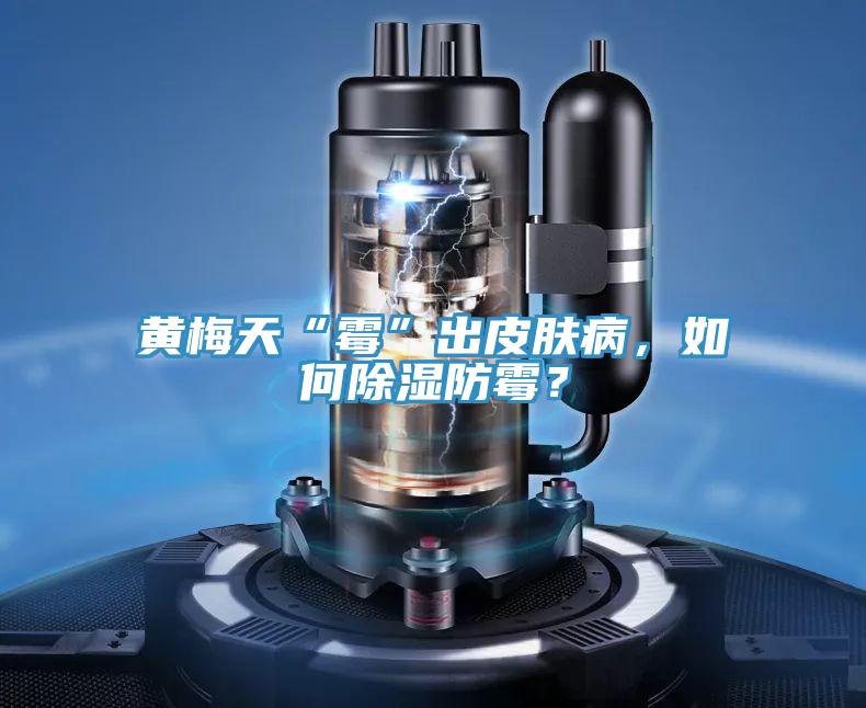 黃梅天“霉”出皮膚病，如何除濕防霉？