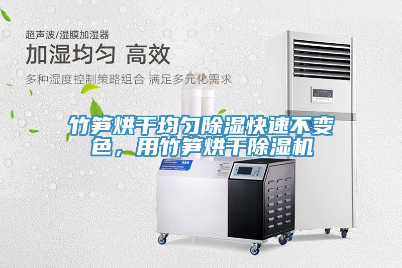 竹筍烘干均勻除濕快速不變色，用竹筍烘干除濕機