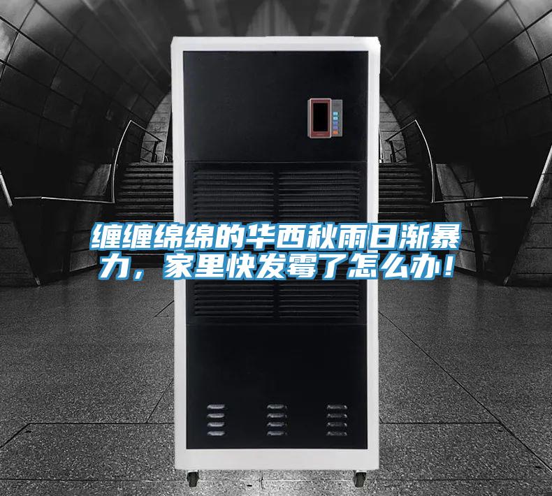 纏纏綿綿的華西秋雨日漸暴力，家里快發(fā)霉了怎么辦！