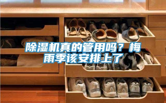 除濕機(jī)真的管用嗎？梅雨季該安排上了
