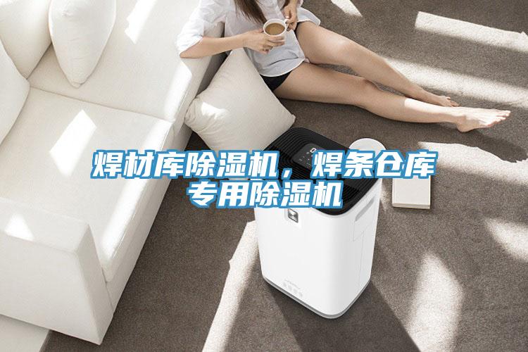 焊材庫除濕機，焊條倉庫專用除濕機