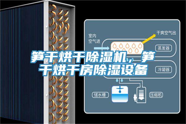 筍干烘干除濕機，筍干烘干房除濕設備