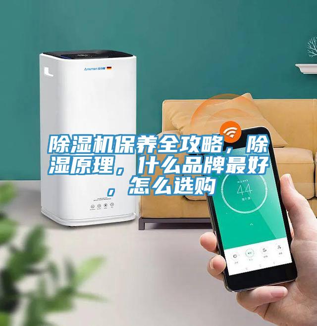 除濕機保養(yǎng)全攻略，除濕原理，什么品牌最好，怎么選購