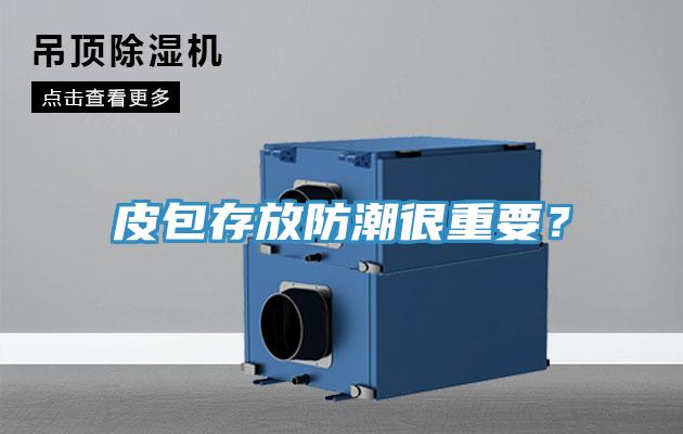 皮包存放防潮很重要？