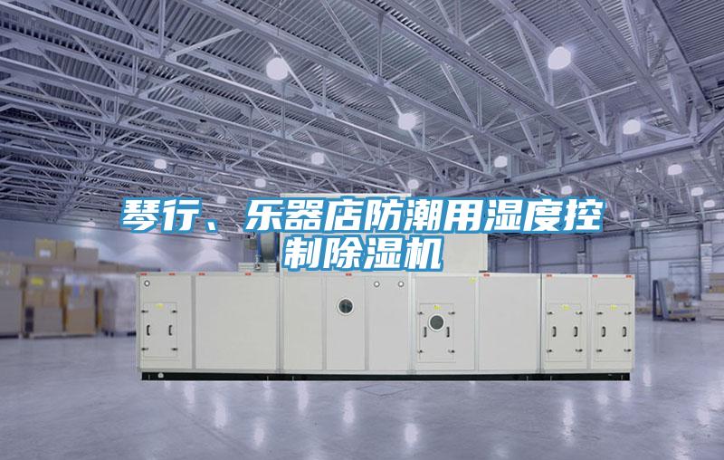 琴行、樂器店防潮用濕度控制除濕機(jī)