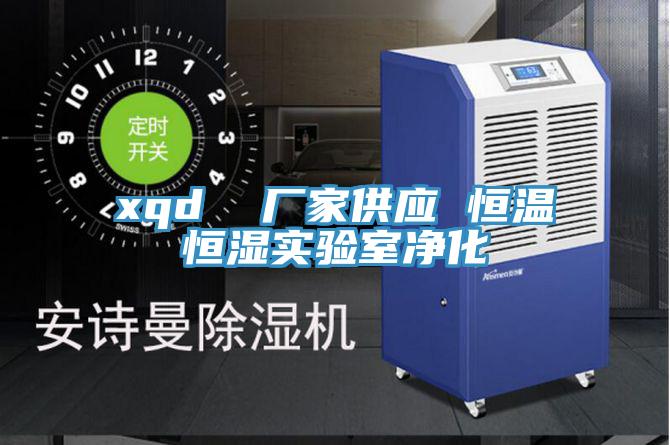 xqd 廠家供應(yīng) 恒溫恒濕實(shí)驗(yàn)室凈化