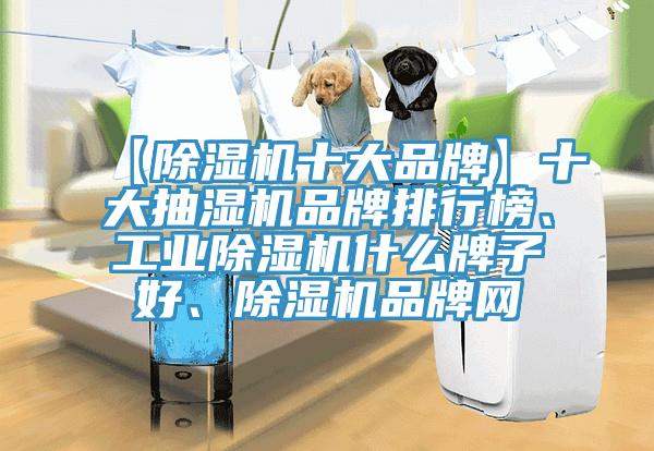 【除濕機(jī)十大品牌】十大抽濕機(jī)品牌排行榜、工業(yè)除濕機(jī)什么牌子好、除濕機(jī)品牌網(wǎng)