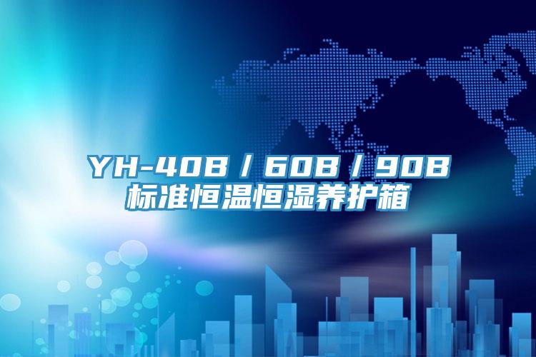 YH-40B/60B/90B標(biāo)準(zhǔn)恒溫恒濕養(yǎng)護(hù)箱