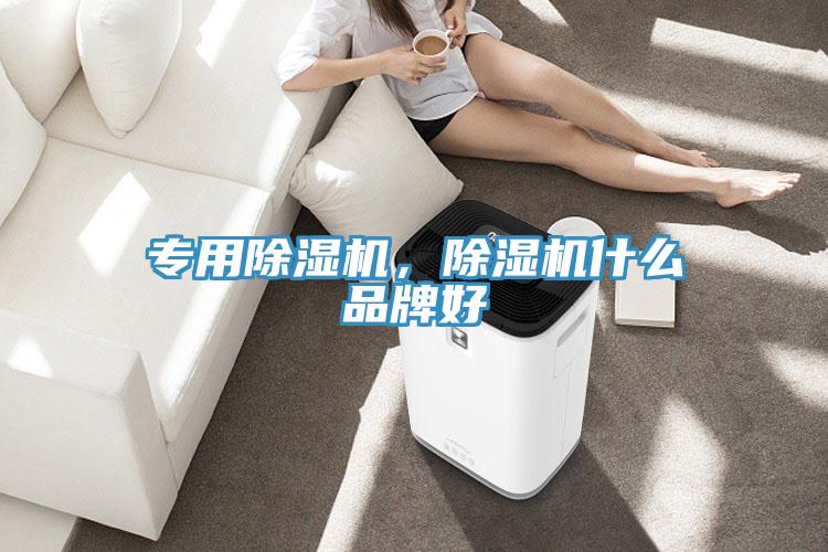 專用除濕機，除濕機什么品牌好