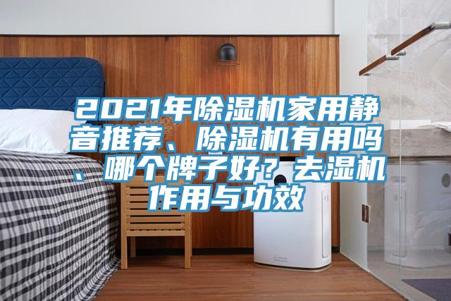 2021年除濕機家用靜音推薦、除濕機有用嗎、哪個牌子好？去濕機作用與功效