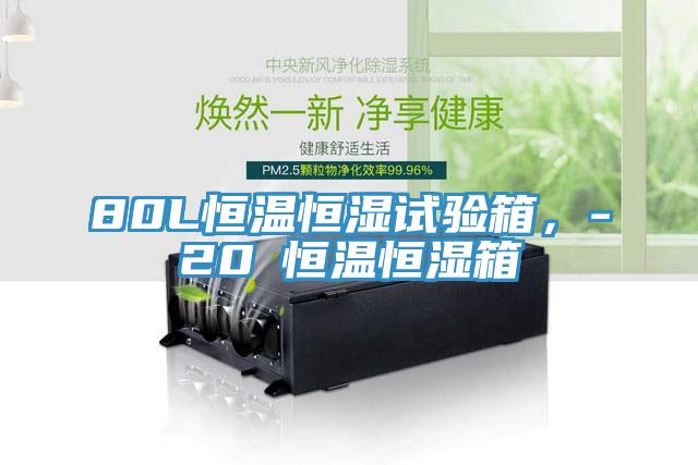 80L恒溫恒濕試驗箱，-20℃恒溫恒濕箱