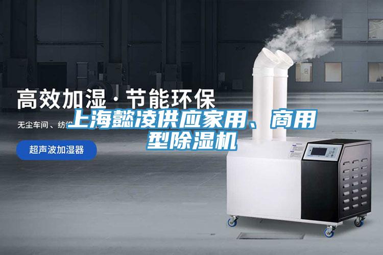 上海懿凌供應(yīng)家用、商用型除濕機