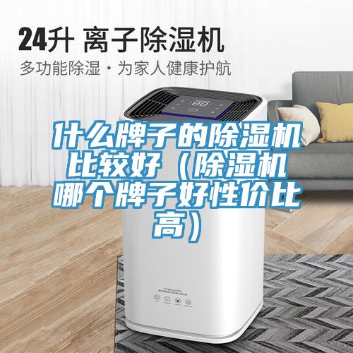 什么牌子的除濕機(jī)比較好(除濕機(jī)哪個(gè)牌子好性價(jià)比高)