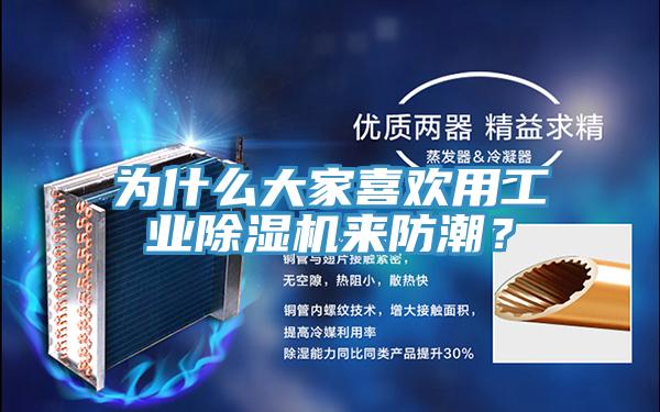 為什么大家喜歡用工業(yè)除濕機(jī)來防潮？