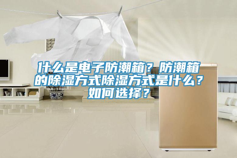 什么是電子防潮箱？防潮箱的除濕方式除濕方式是什么？如何選擇？