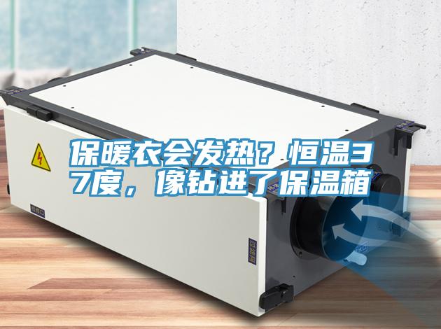 保暖衣會(huì)發(fā)熱？恒溫37度，像鉆進(jìn)了保溫箱