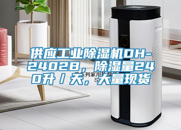 供應(yīng)工業(yè)除濕機(jī)DH-2402B，除濕量240升／天，大量現(xiàn)貨