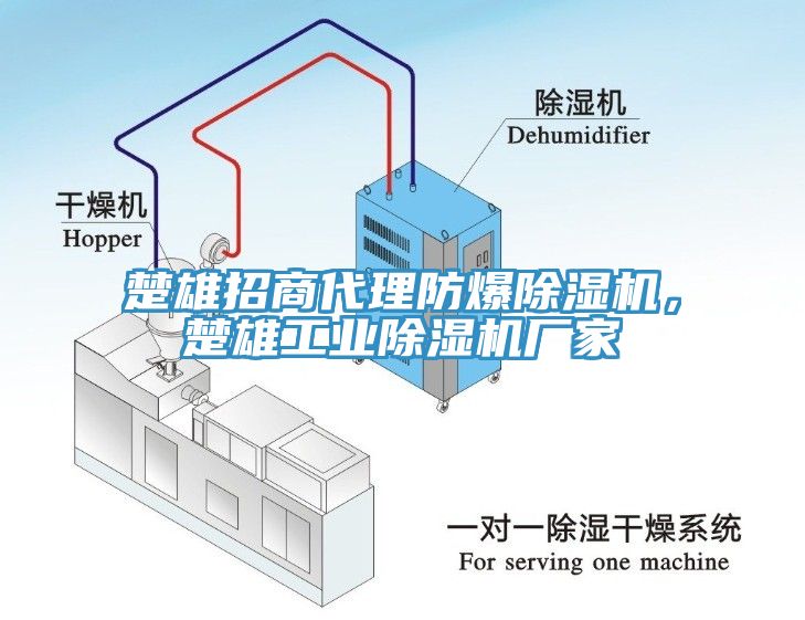 楚雄招商代理防爆除濕機(jī)，楚雄工業(yè)除濕機(jī)廠家