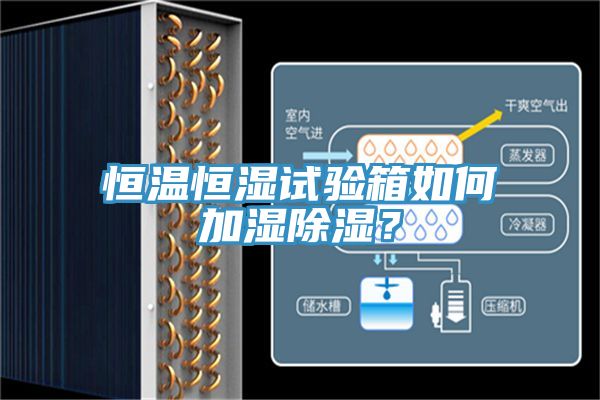 恒溫恒濕試驗箱如何加濕除濕？