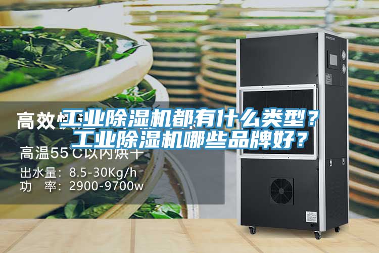 工業(yè)除濕機(jī)都有什么類型？工業(yè)除濕機(jī)哪些品牌好？