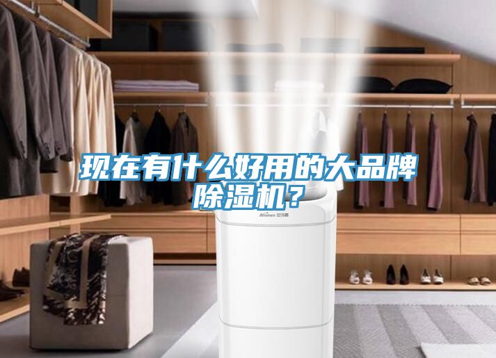 現(xiàn)在有什么好用的大品牌除濕機(jī)？