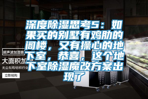 深度除濕思考5：如果買(mǎi)的別墅有雞肋的閣樓，又有操心的地下室，恭喜，這個(gè)地下室除濕魔改方案出現(xiàn)了