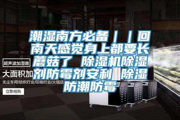 潮濕南方必備｜｜回南天感覺身上都要長蘑菇了 除濕機除濕劑防霉劑安利 除濕防潮防霉