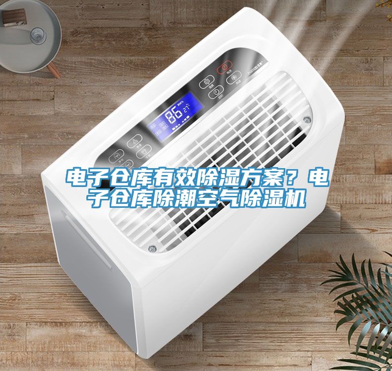 電子倉庫有效除濕方案？電子倉庫除潮空氣除濕機