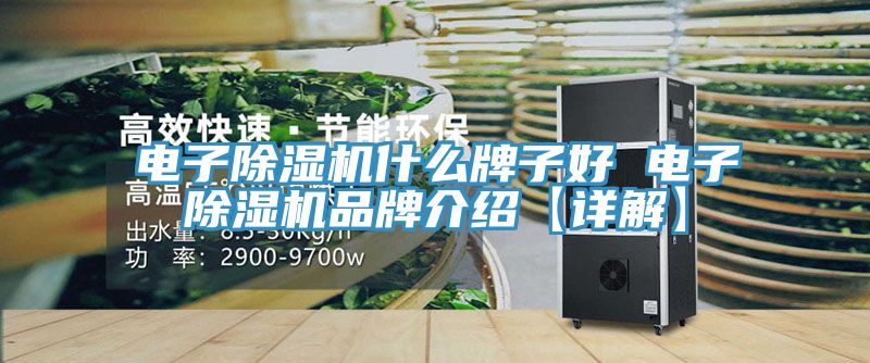 電子除濕機(jī)什么牌子好 電子除濕機(jī)品牌介紹【詳解】