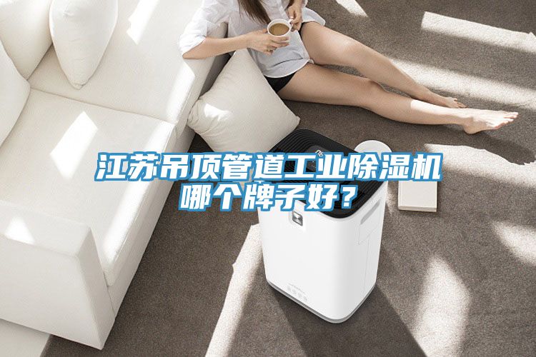 江蘇吊頂管道工業(yè)除濕機哪個牌子好？