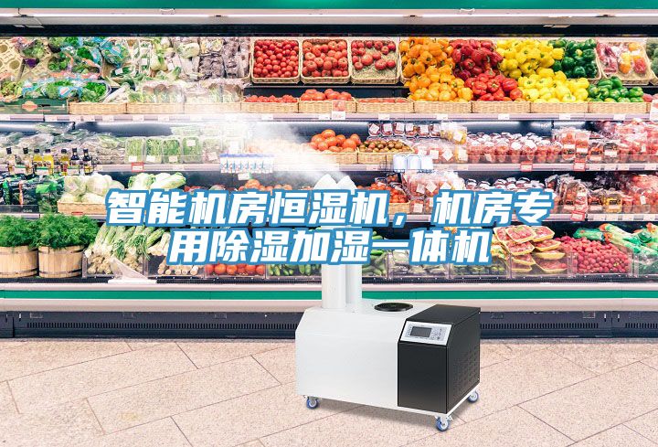智能機房恒濕機，機房專用除濕加濕一體機