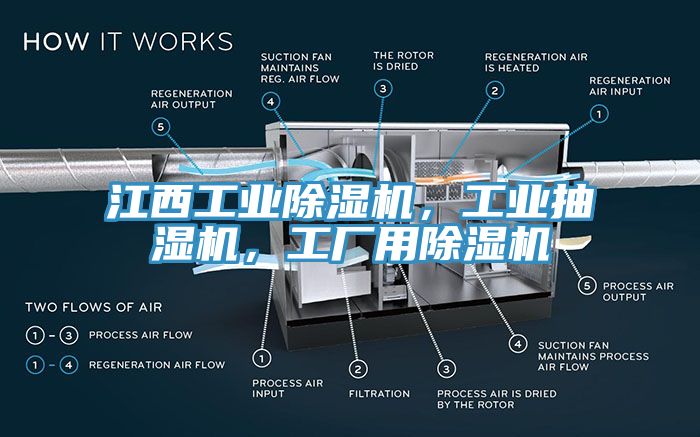 江西工業(yè)除濕機，工業(yè)抽濕機，工廠用除濕機