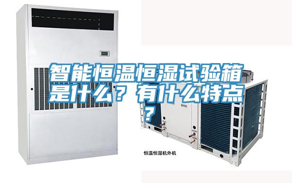 智能恒溫恒濕試驗箱是什么？有什么特點？