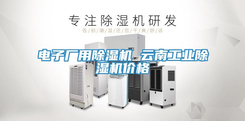 電子廠用除濕機 云南工業(yè)除濕機價格