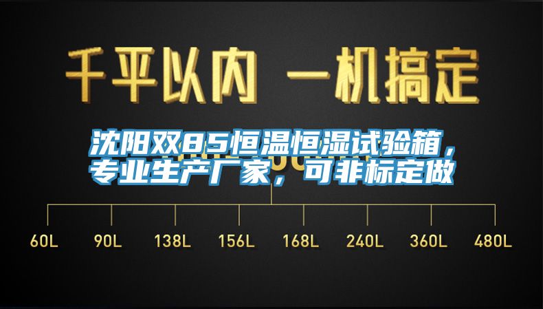 沈陽(yáng)雙85恒溫恒濕試驗(yàn)箱，專業(yè)生產(chǎn)廠家，可非標(biāo)定做