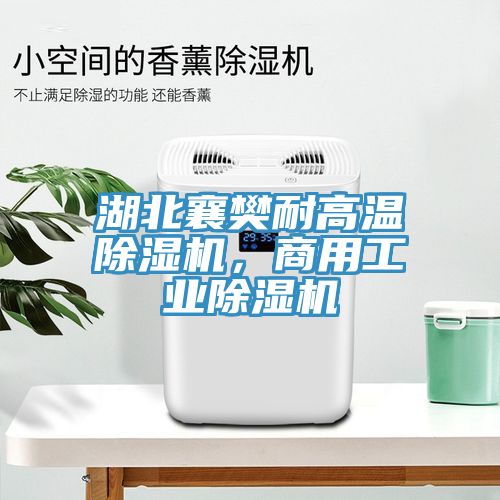 湖北襄樊耐高溫除濕機(jī)，商用工業(yè)除濕機(jī)