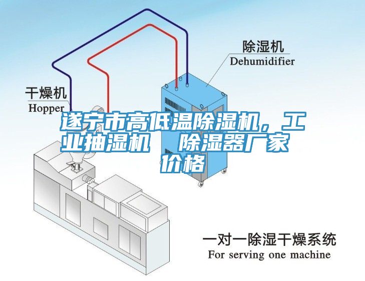 遂寧市高低溫除濕機(jī)，工業(yè)抽濕機(jī)  除濕器廠家 價(jià)格