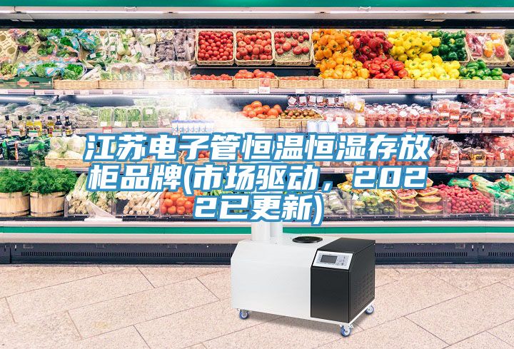江蘇電子管恒溫恒濕存放柜品牌(市場(chǎng)驅(qū)動(dòng)，2022已更新)