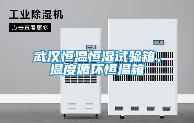 武漢恒溫恒濕試驗(yàn)箱，溫度循環(huán)恒溫箱