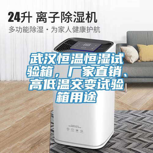 武漢恒溫恒濕試驗(yàn)箱，廠(chǎng)家直銷(xiāo)、高低溫交變?cè)囼?yàn)箱用途
