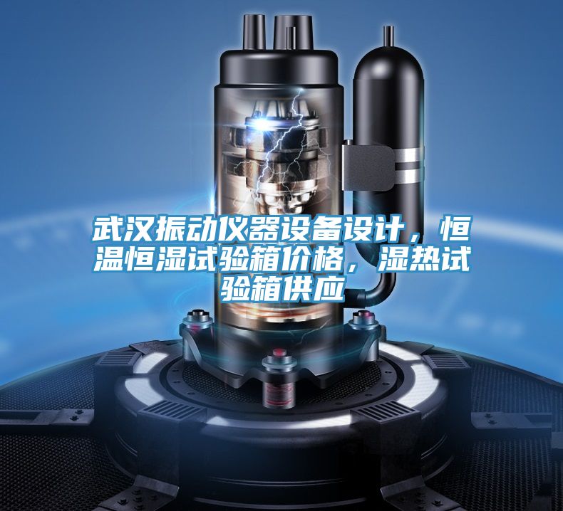 武漢振動(dòng)儀器設(shè)備設(shè)計(jì)，恒溫恒濕試驗(yàn)箱價(jià)格，濕熱試驗(yàn)箱供應(yīng)
